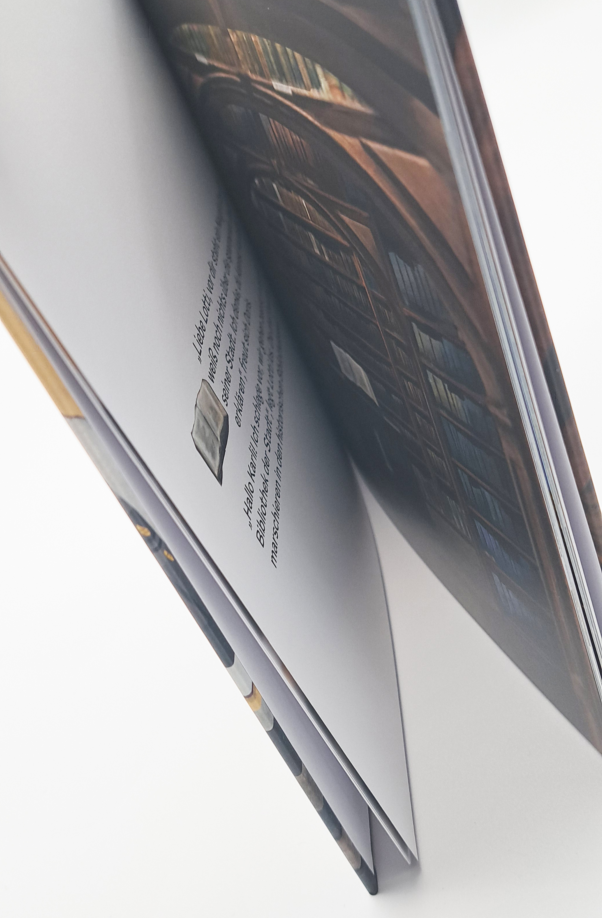 Kater Karli Buch von oben fotografiert. Das Buch ist seitlich von oben fotografiert, man erkennt ein bisschen von der Innenseite und man sieht wie dick das Buch ist.