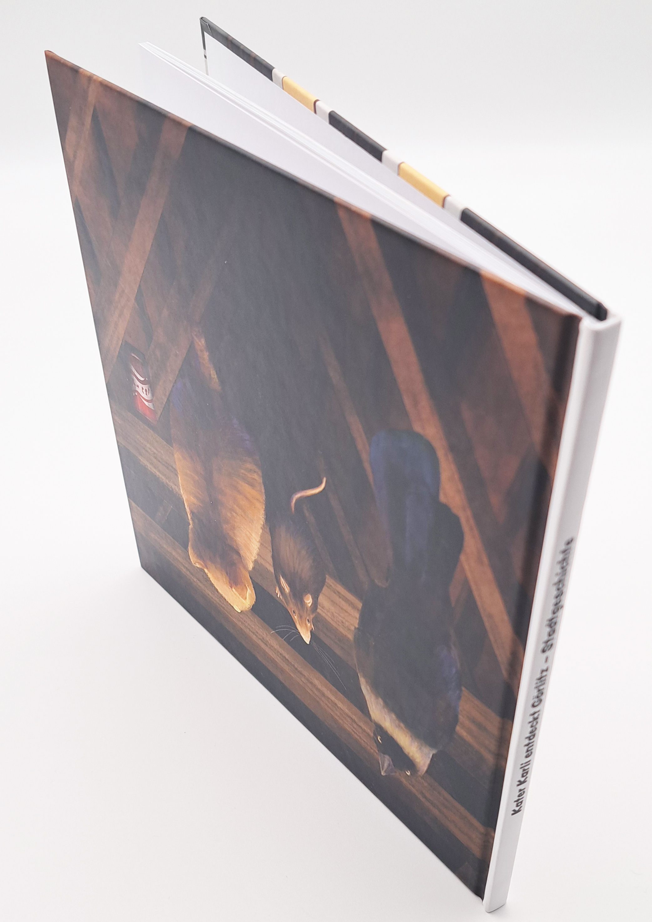 Rückseite Kater Karli Rückseite von dem Buch Kater Karli Stadtgeschichte von schräg oben fotografiert. Man erkennt das gezeichnete Motiv auf der Rückseite. Hier sind der Kater und der Rabe auf dem Dachstuhl zu sehen.