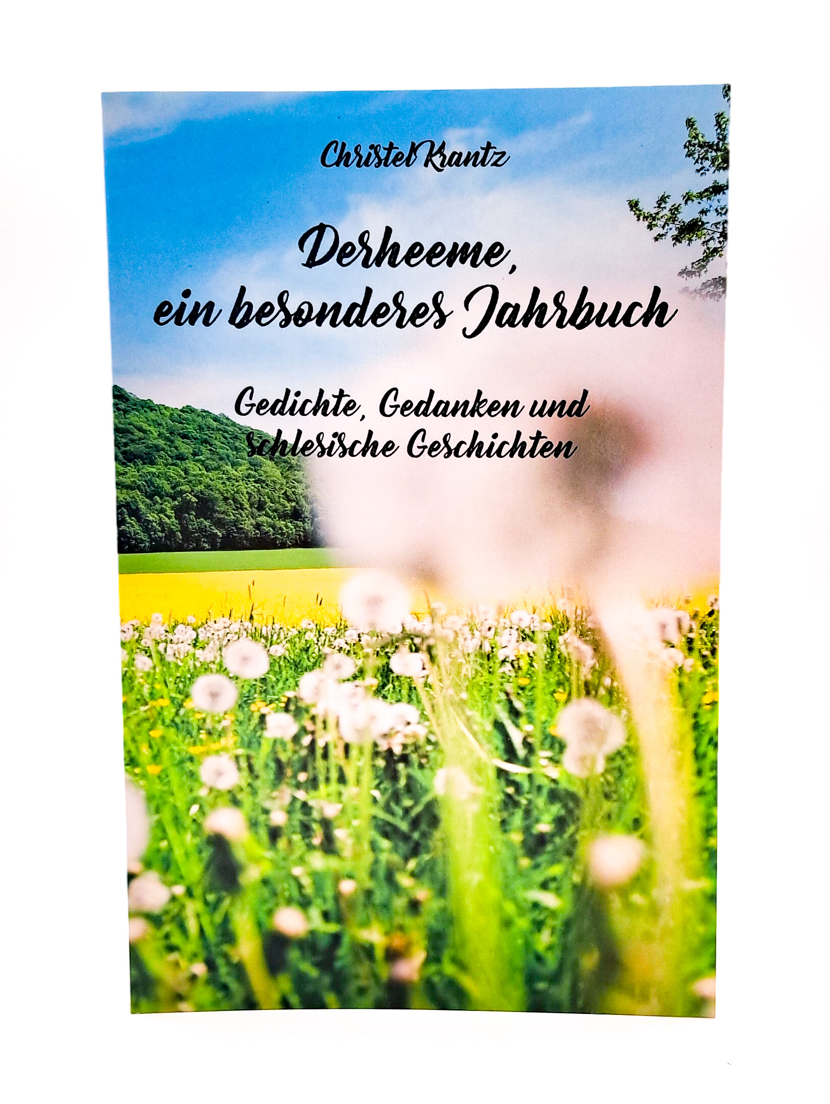 Auf dem Titelbild vom Buch "Derheeme, ein besonderes Jahrbuch" ist die Blumenwiese vor der Landeskrone zu sehen. Der Titel ist im blauen Himmel und in der unscharfen Blühte einer Pusteblume gesetzt.